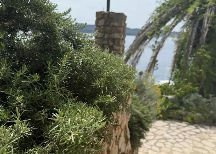 House Franceskini * Sali